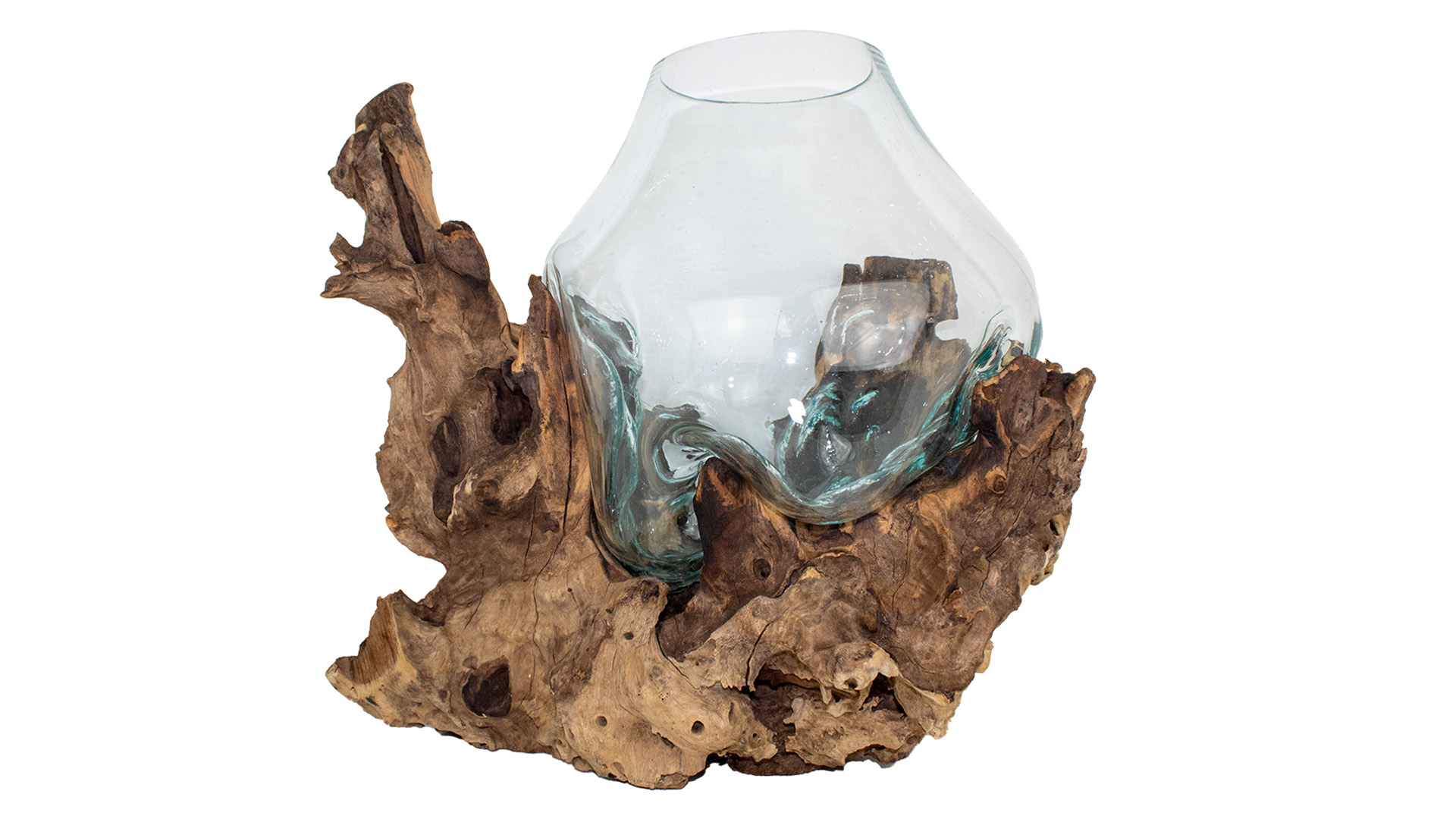 Glas auf Wurzel – XXL Höhe 50-80 cm VE 2 Stück Glas auf Wurzel – XXL Höhe 50-80 cm VE 2 Stück