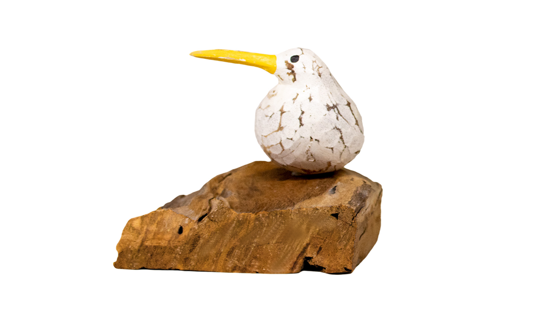 Möwe auf Wurzel VE 60 Stück Möwe auf Wurzel VE 60 Stück