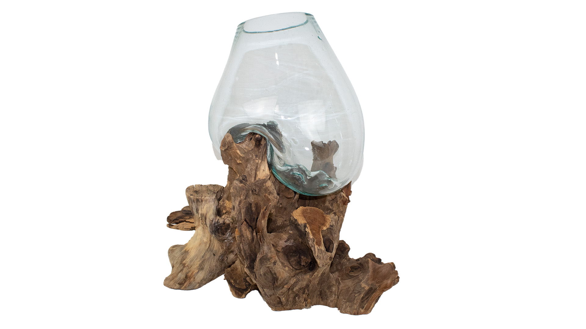 Glas auf Wurzel – XL Höhe 30-40 cm VE 4 Stück Glas auf Wurzel – XL Höhe 30-40 cm VE 4 Stück